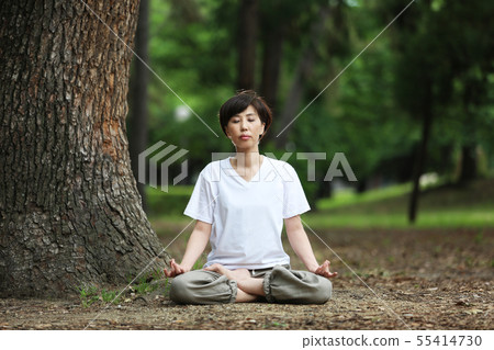 做瑜伽的婦女在森林 55414730