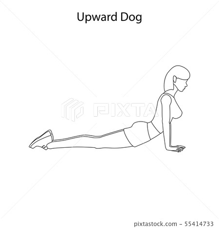Upward dog pose outline 55414733