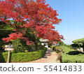 Zenzenji Kyoto Autumn leaves 55414833
