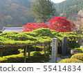 Zenzenji Kyoto Autumn leaves 55414834