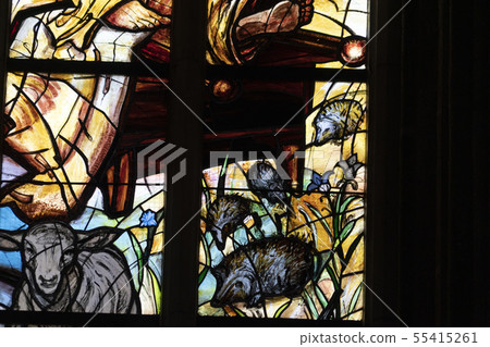 kutna hora dome saint barbara church window glass 55415261