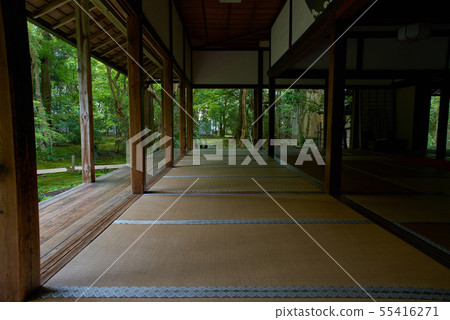 Kyoto's summer lotus temple 55416271