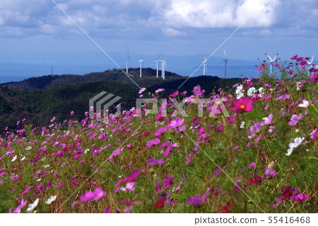 Bandai mountain Cosmos Park Wind power generation distant view Bandai mountain Cosmos Park Wind power generation distant view 55416468