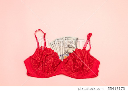 Red bra with money on a pink background. The Red bra with money on a pink background. The 55417173