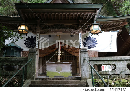 Pilgrimage 55417181