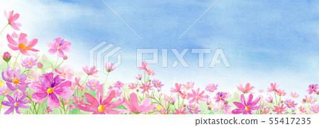 波斯菊領域和綻放藍天背景不對稱的水彩例證 55417235