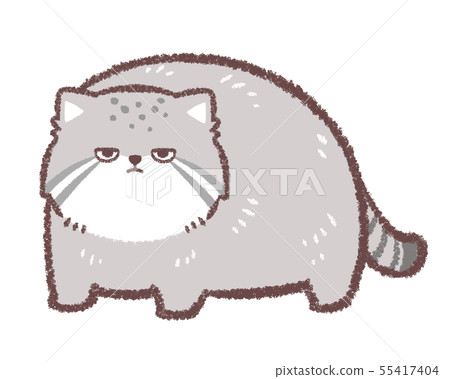 Manul cat standing 55417404