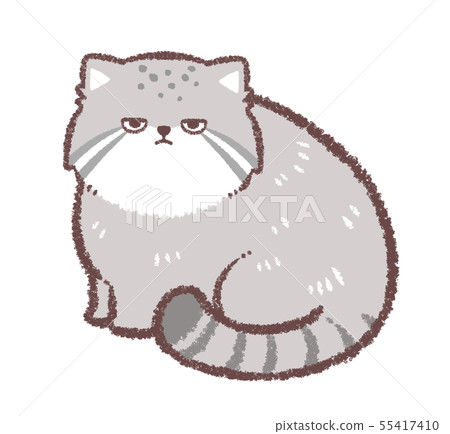 Manul cat sitting Manul cat sitting 55417410