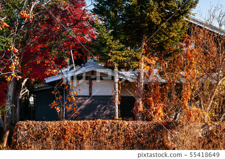 Old local Japanese house with colourful autumn 55418649