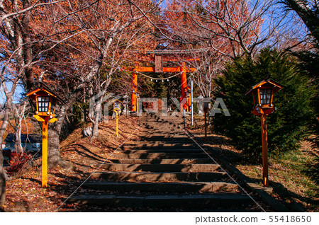 Red Torii gate of Chureito Pagoda Shrine entrance Red Torii gate of Chureito Pagoda Shrine entrance 55418650