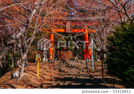 Red Torii gate of Chureito Pagoda Shrine entrance 55418651