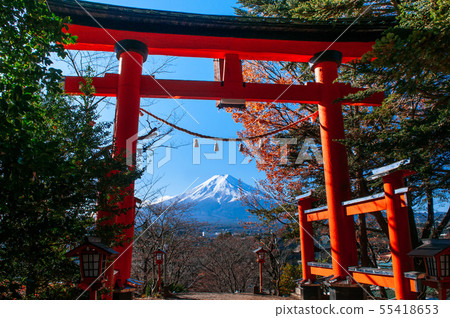 Red Torii gate of Chureito Pagoda Mount Fuji in Red Torii gate of Chureito Pagoda Mount Fuji in 55418653