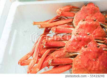 Red King Crab (Taraba crab) or Alaska King Crab 55419240
