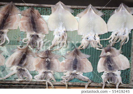 幹魷魚 幹魷魚 55419245