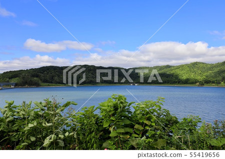 Tobetsu貓頭鷹湖/ Tobetsu水壩 55419656