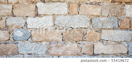 Texture of an irregular stone wall. Background. 55419672