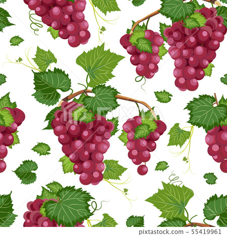 Grape vine seamless pattern and leaves on white Grape vine seamless pattern and leaves on white 55419961