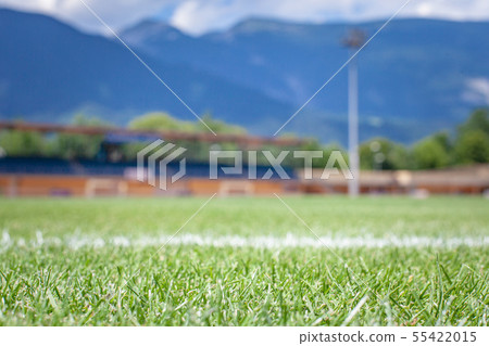 football field ready to play. grass cuttings, 55422015