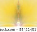 Energy flower. Yellow color. Place for text. 55422451