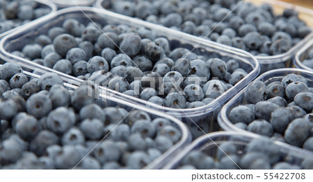 Fresh blueberries, farmer market counter. Fresh blueberries, farmer market counter. 55422708