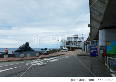 Pro ignorance, child ignorance coast stone monument turtle 55422808