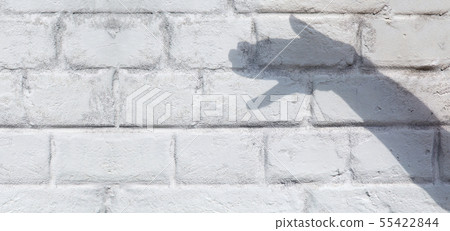 Shadow of the hands in the form of a dog head. Shadow of the hands in the form of a dog head. 55422844