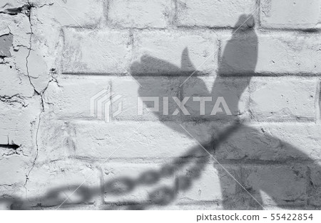 Shadow of hands with chains on a brick wall. Shadow of hands with chains on a brick wall. 55422854