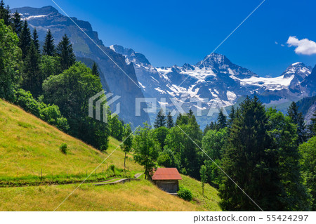 Mountain village Wengen, Switzerland 55424297