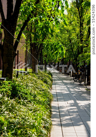 Scenery of Kita Ward, Osaka City and Umeda Chayacho 55424396