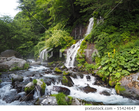 Dragon waterfall Dragon waterfall 55424647