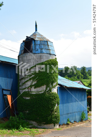 在北海道的Nanae Town軍河區拍攝牧場筒倉和穀倉的夏日風景照片 在北海道的Nanae Town軍河區拍攝牧場筒倉和穀倉的夏日風景照片 55424797