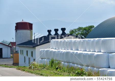 在北海道的Nanae Town軍河區拍攝牧場筒倉和穀倉的夏日風景照片 55424798