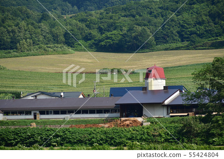 在北海道的Nanae Town軍河區拍攝牧場筒倉和穀倉的夏日風景照片 在北海道的Nanae Town軍河區拍攝牧場筒倉和穀倉的夏日風景照片 55424804