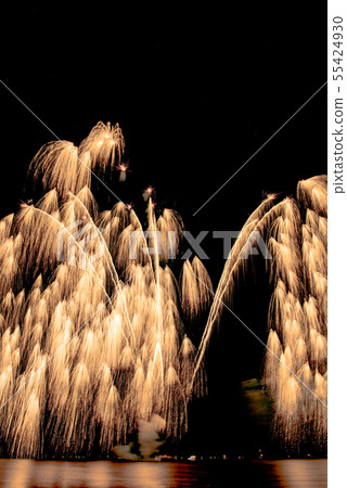 津市煙花節 55424930