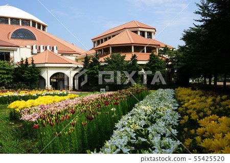July Fukaya 33 Lily's group green park patio July Fukaya 33 Lily's group green park patio 55425520