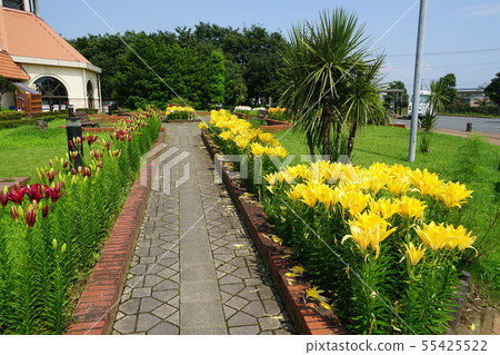 July Fukaya 32 Lily's group green park patio July Fukaya 32 Lily's group green park patio 55425522