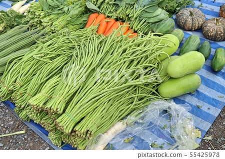 Shops selling vegetables at the market 55425978