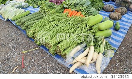 Shops selling vegetables at the market 55425985