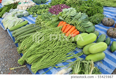 Shops selling vegetables at the market 55425987