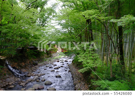 Shuzenji part 31 55426080