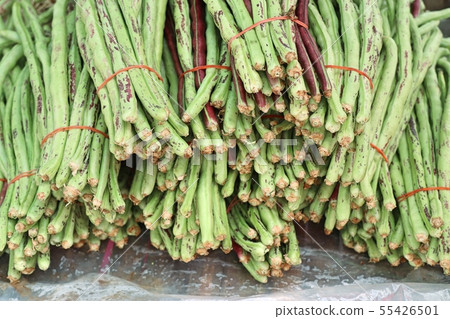 Fresh long beans at market Fresh long beans at market 55426501