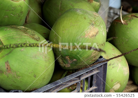 Fresh coconut at street food 55426525