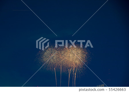 Guru Festival PL fireworks art 55426663