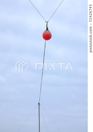 Dolphin part 6 55426743