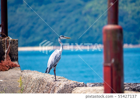 Kurosagi 1 at a small port 55427137