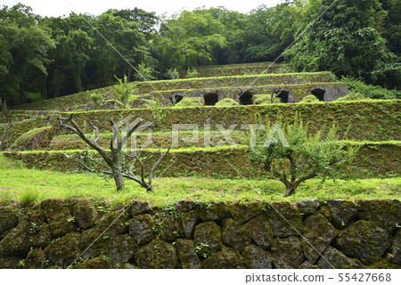 Iwami Ginzan Remains Site of Shimizu Valley Smelter (Ota City, Shimane Prefecture) Iwami Ginzan Remains Site of Shimizu Valley Smelter (Ota City, Shimane Prefecture) 55427668