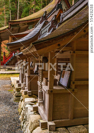 秋天的滋賀坂本Hi吉大社北野神社等 秋天的滋賀坂本Hi吉大社北野神社等 55428288