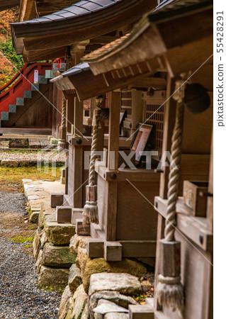 秋天的滋賀坂本Hi吉大社北野神社等 55428291