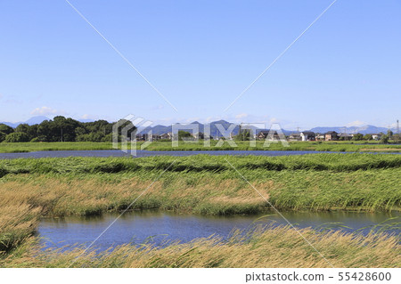 群馬縣群馬那馬 55428600