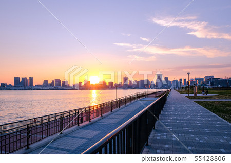 Scenery of the Toyosu-gururu Park (the evening view) Scenery of the Toyosu-gururu Park (the evening view) 55428806